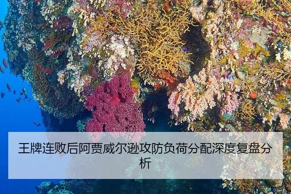 wang-pai-lian-bai-hou-a-jia-wei-er-xun-gong-fang-fu-he-fen-pei-shen-du-fu-pan-fen-xi-2-321.jpg